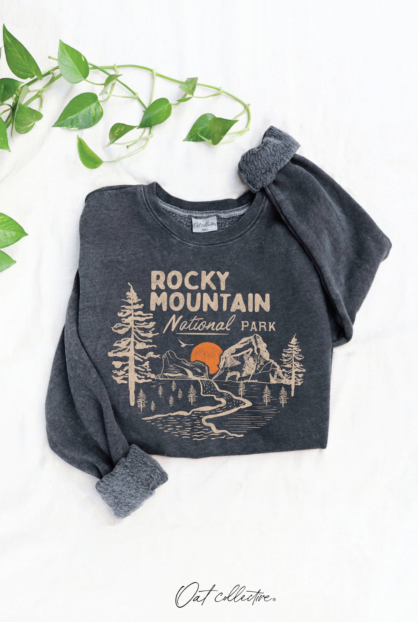 ROCKY MOUNTAIN  Mineral Graphic Sweatshirt: VINTAGE BLACK