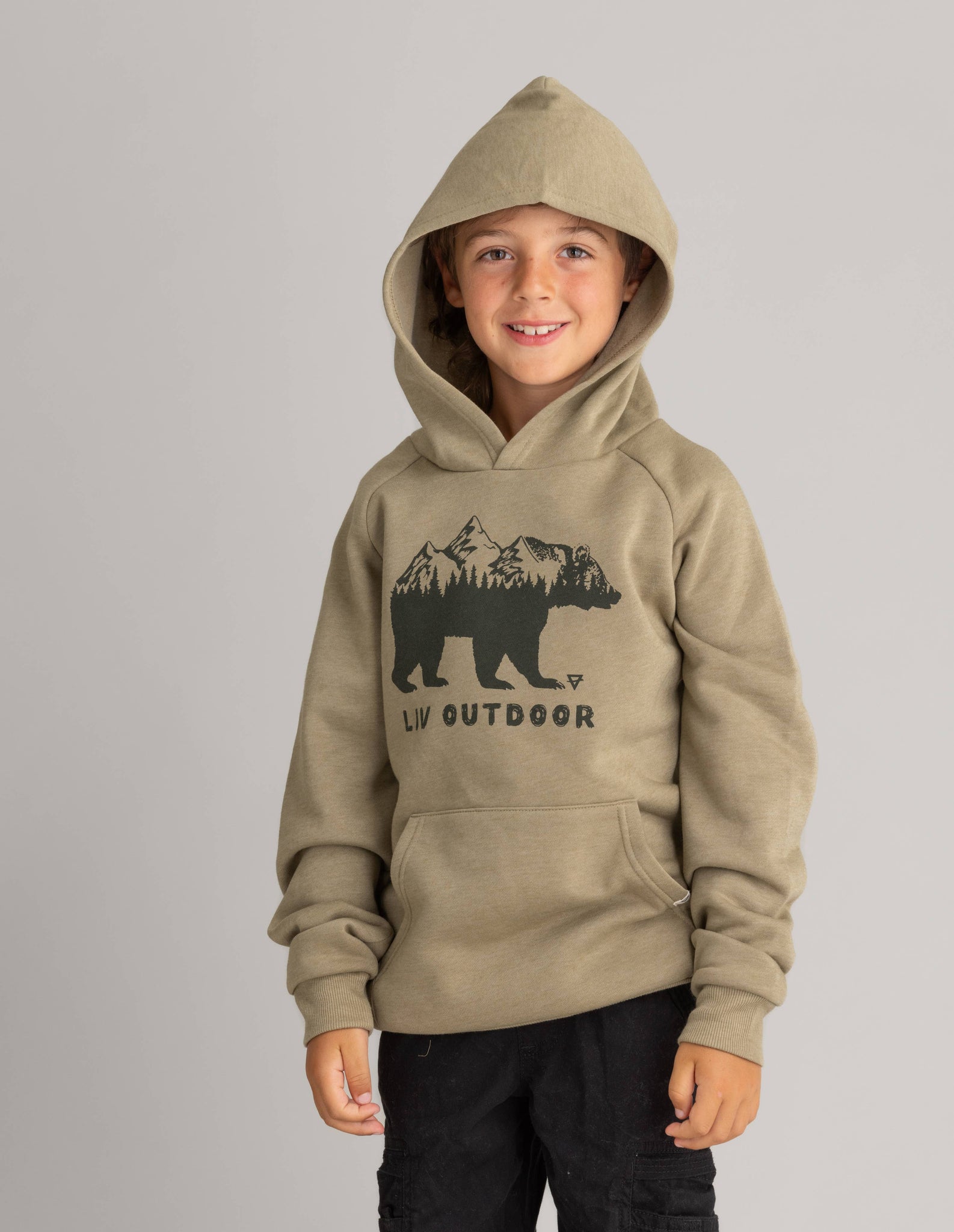 Boys Graphic Pullover Hoodie: Twill Bear Mountain